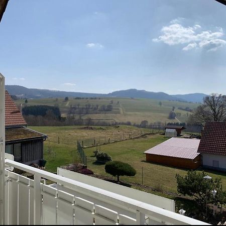 Hotel Landhaus Schneeberg Mosbach  Esterno foto